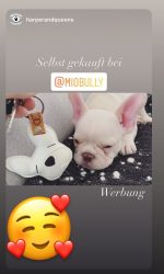 Mio Bully Instagram