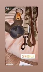 Mio Bully Instagram